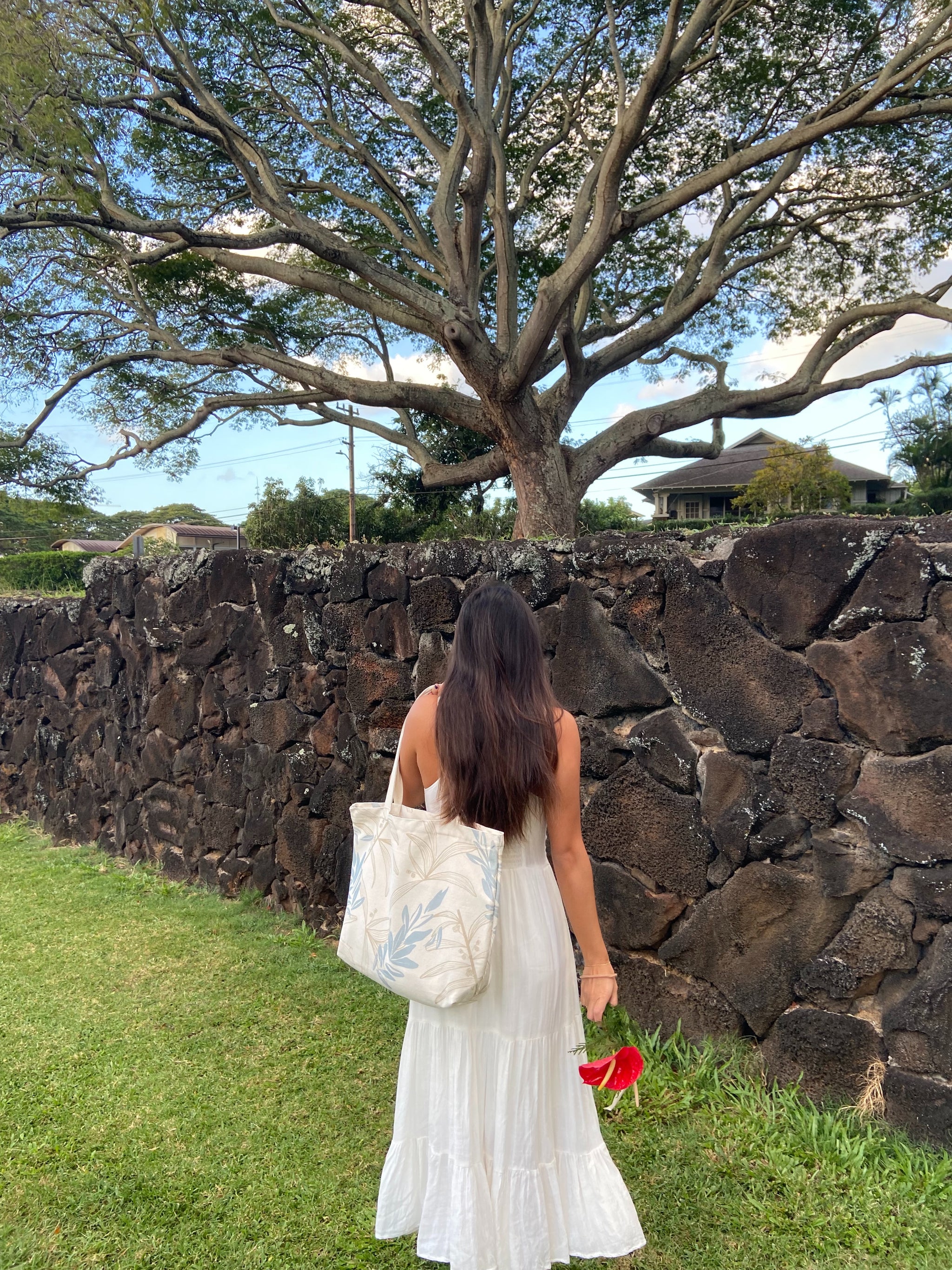 カーテン koa KOA – Malia Maui Designs